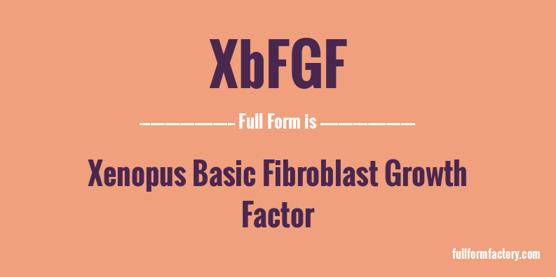 xbfgf-full-form