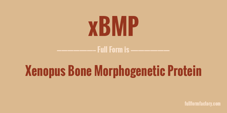 xbmp-full-form