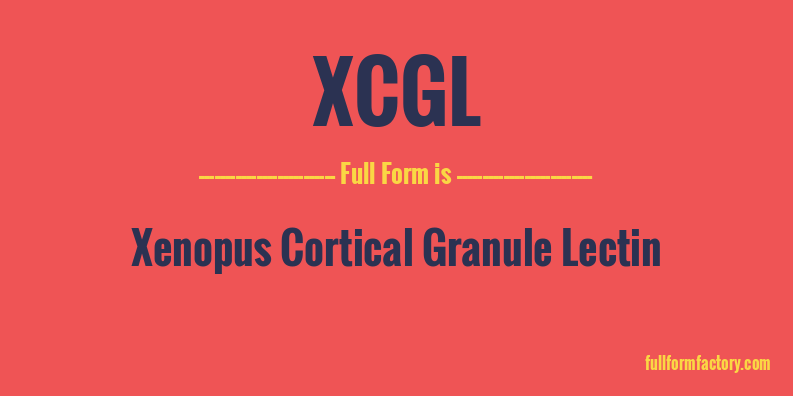 xcgl-full-form