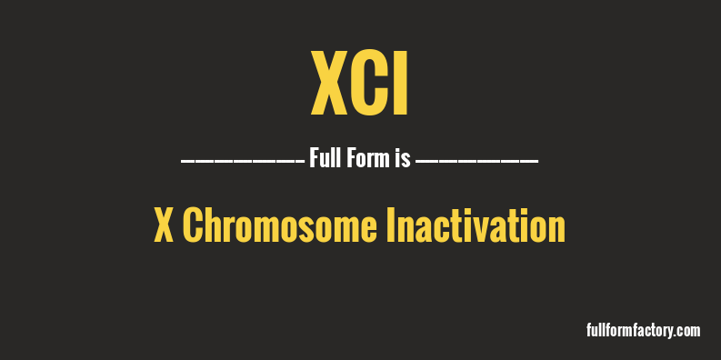 xci-full-form