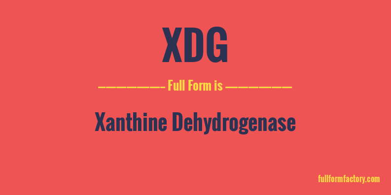 xdg-full-form