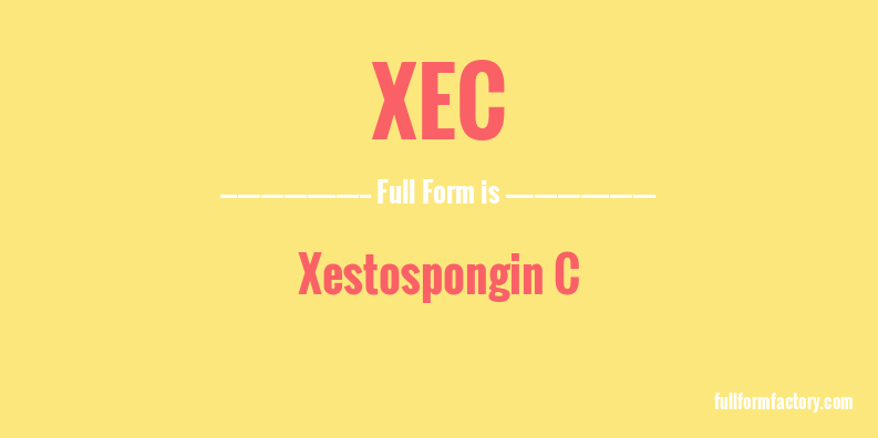 xec-full-form