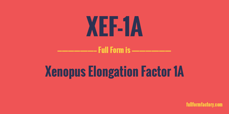 xef-1a-full-form
