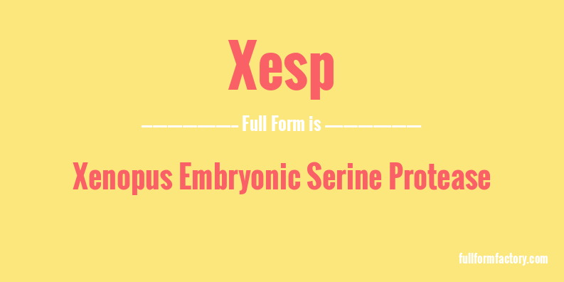 xesp-full-form