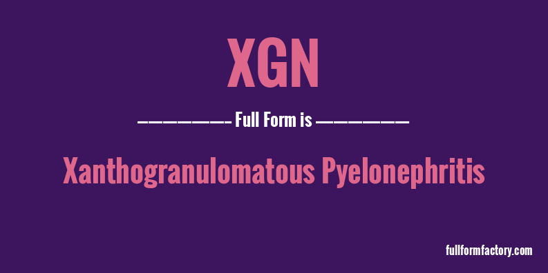 xgn-full-form