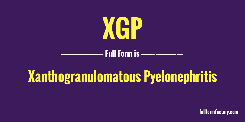 xgp-full-form