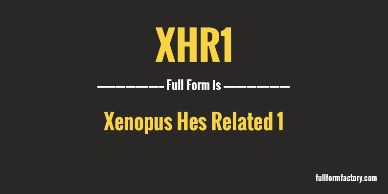 xhr1-full-form