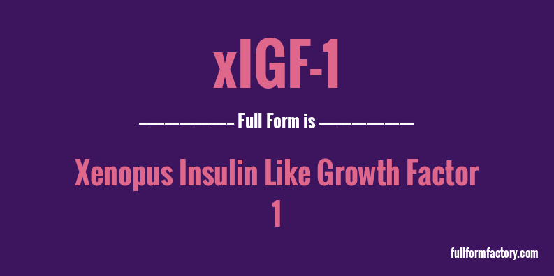 xigf-1-full-form