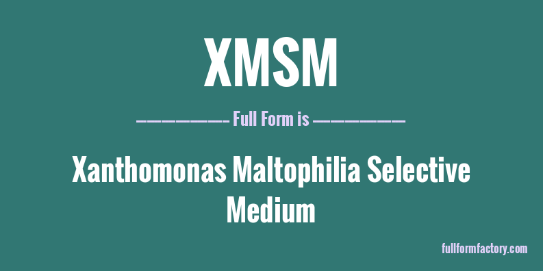 xmsm-full-form