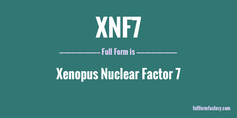 xnf7-full-form