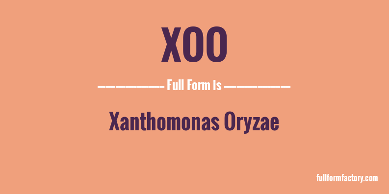 xoo-full-form