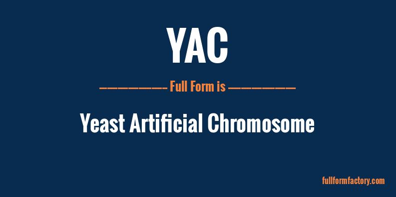 yac-full-form