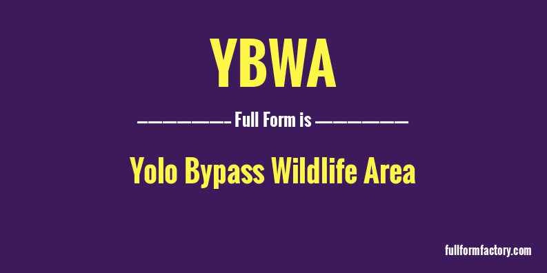 ybwa-full-form