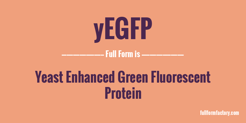 yegfp-full-form