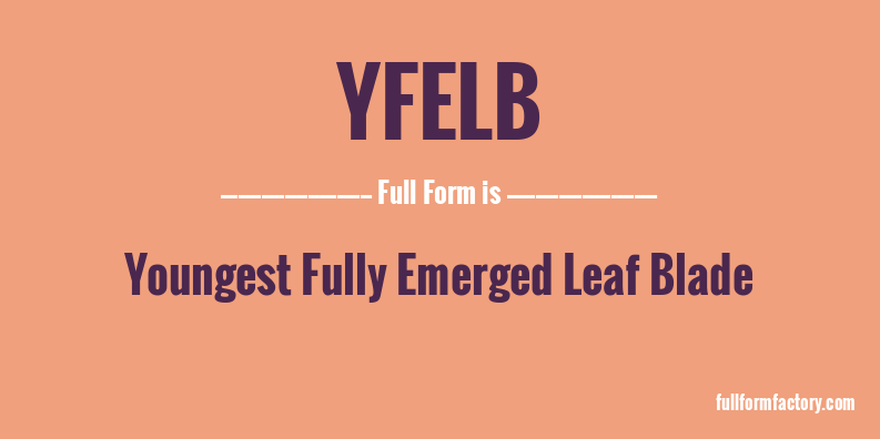 yfelb-full-form
