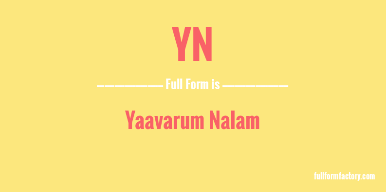 yn-full-form
