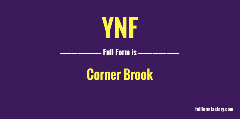 ynf-full-form