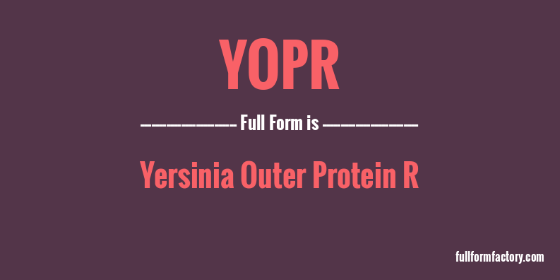 yopr-full-form
