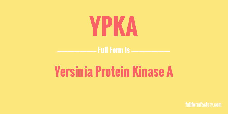 ypka-full-form