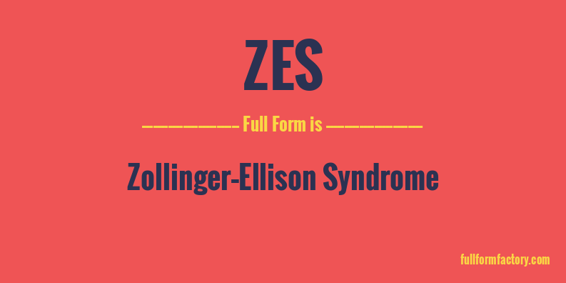 zes-full-form
