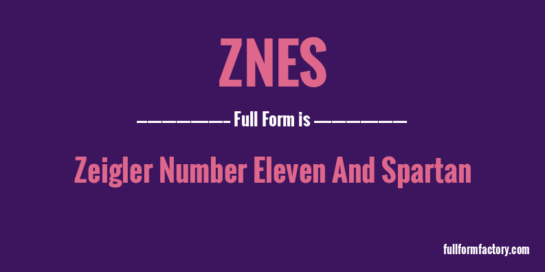 znes-full-form