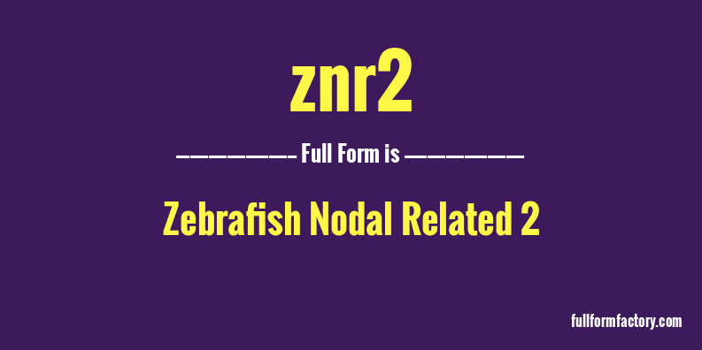 znr2-full-form