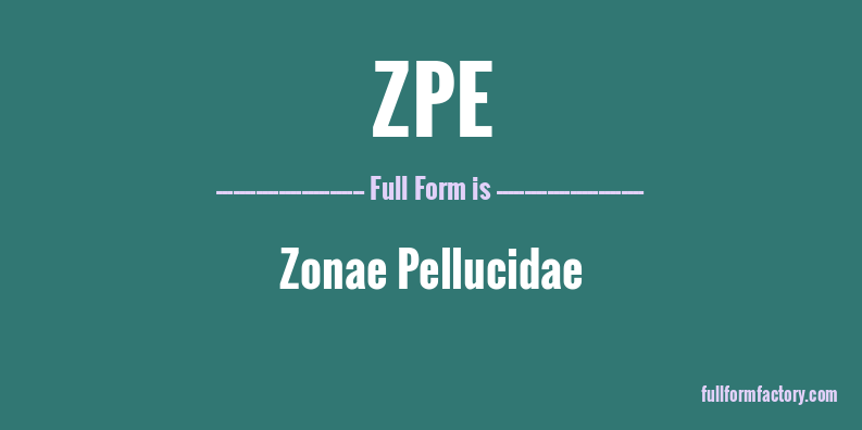 zpe-full-form