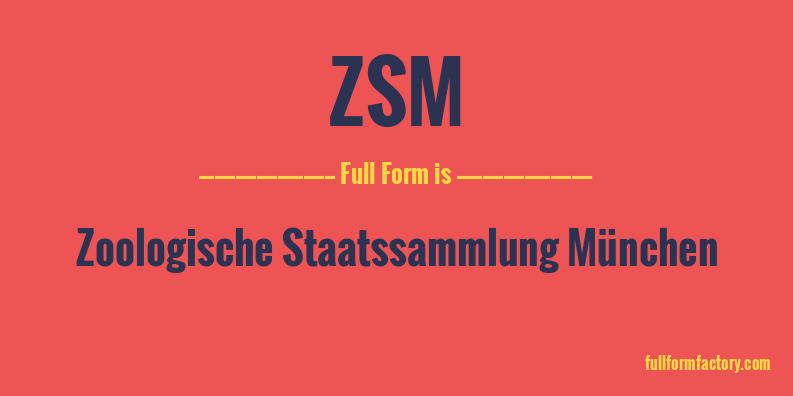 zsm-full-form