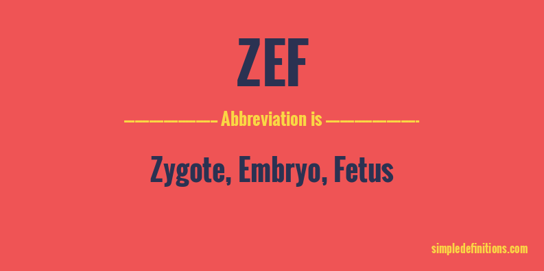 zef-abbreviation